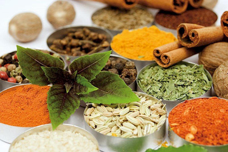 مصرف دمنوش های گیاهی و دارویی دم نوش چای سبز