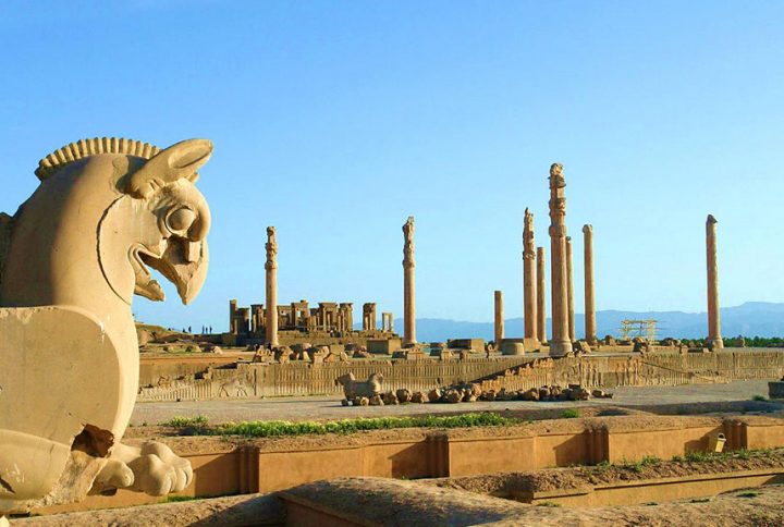 نمایندگی نیوشا در شیراز- مرکز فروش محصولات نیوشا در فارس