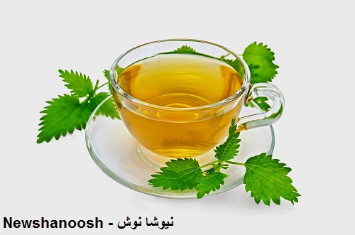 گزنه چیست فواید عرق گزنه دمنوش گزنه دمنوش گیاهی گزنه عوارض گزنه مضرات گزنه چای گزنه