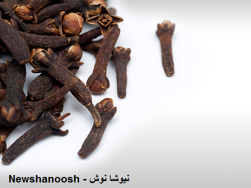 مضرات میخک عوارض دمنوش میخک خواص میخک خرید گیاه میخک قیمت دمنوش میخک دمنوش میخک