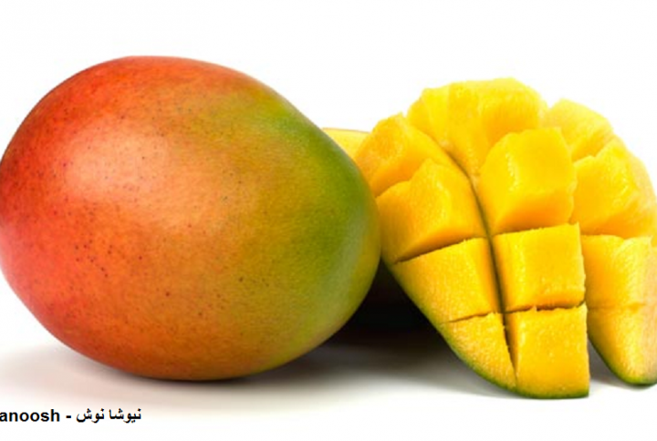 خواص انبه مضرات انبه خواص انبه برای کودکان فواید انبه خاصیت انبه خواص هسته انبه