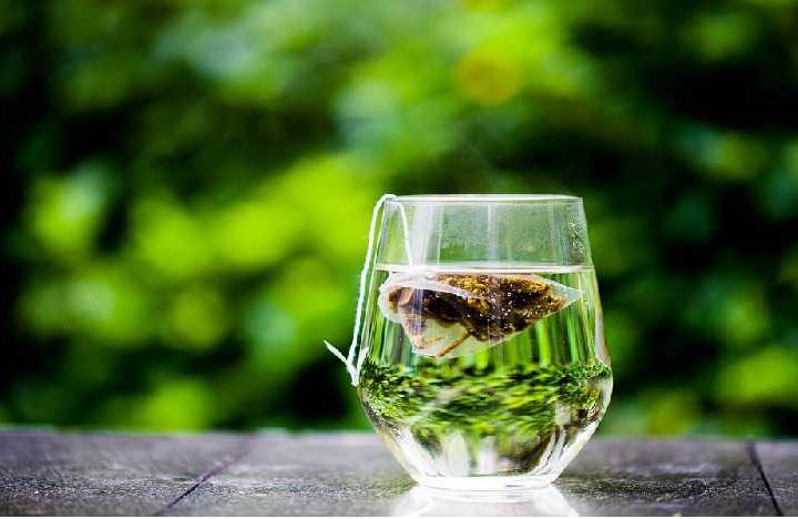 راهنمای مصرف چای سبز و زوفا نیوشا